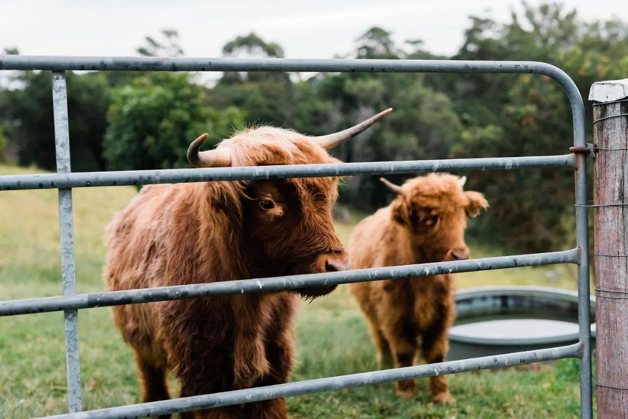 Thirlestane Farm Cottage & Barn Cooroy